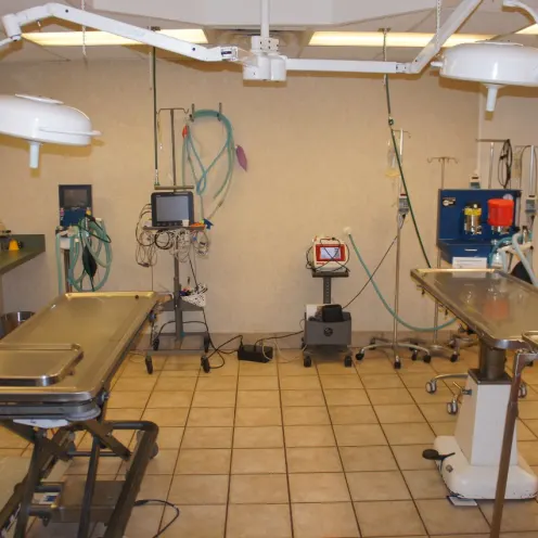 Surgery Suite